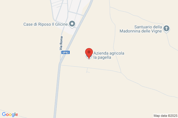 Pagella renzo