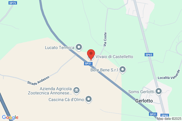 La Serenissima (S.A.S.)
