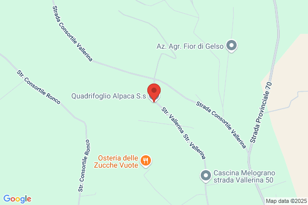 Il Quadrifoglio Snc