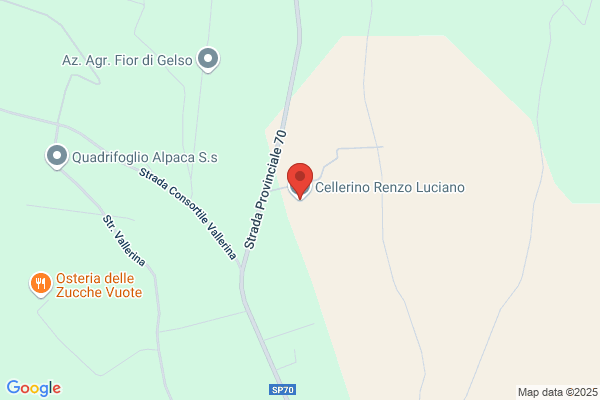 Lucano renzo