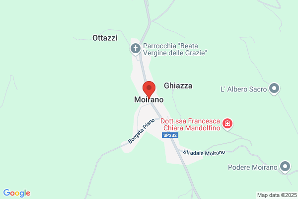 Moirano carlo (Rag.)