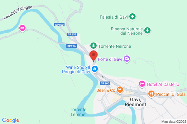 Consorzio Tutela Del Gavi