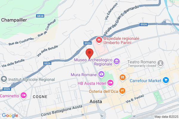 Ricci Capricci Di Seghesio G.