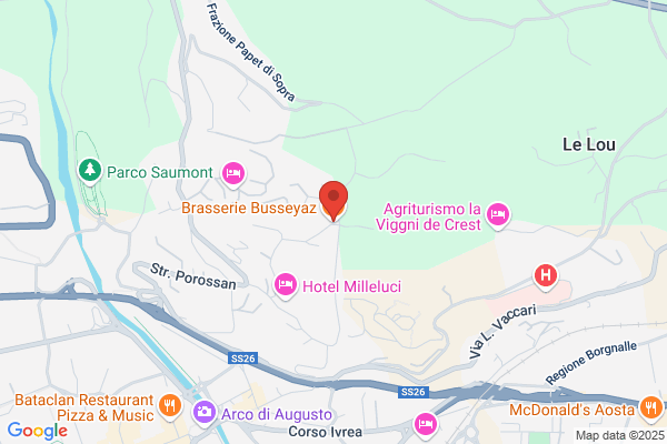 Ristorante:brasserie Busseyaz