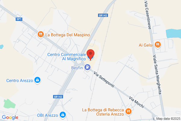 Il Magnifico