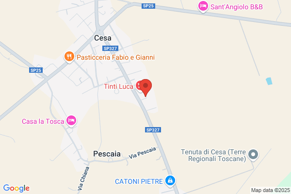 Pulitini fulvio