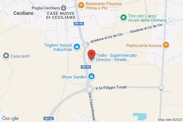 Todis - Supermercato (Arezzo - Strada Regionale Umbro Casentinese Romagnola)