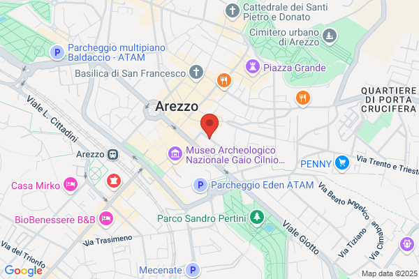 Rotary Club Arezzo