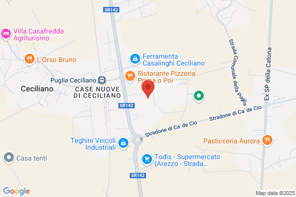 Dott. Geol. Lisi Daniele