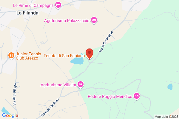 Fattoria Di San Fabiano Di Borghini Baldovinetti gianluigi