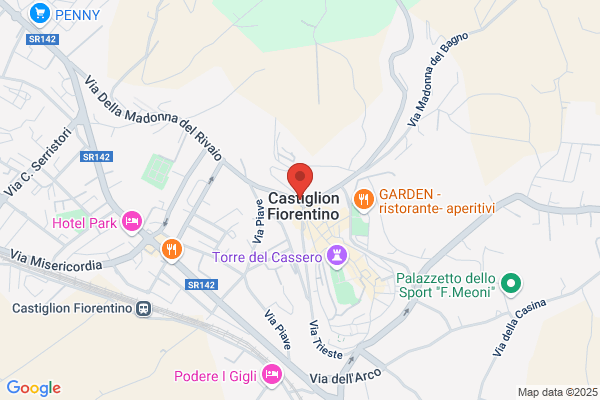 Istituto Fisioterapico Aretino