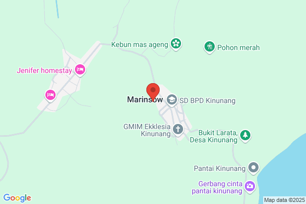 Pulisan