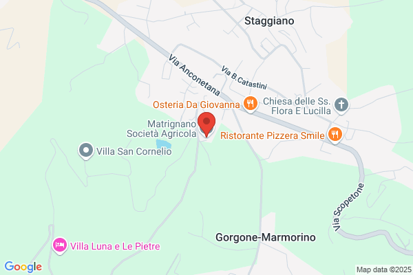 Verrazzani patrizio