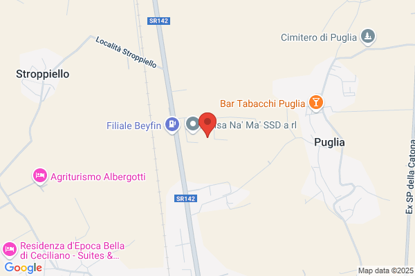 P.A. Patrussi Argento