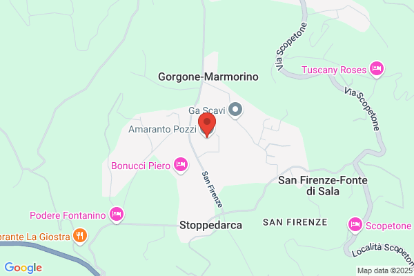 Amaranto Pozzi