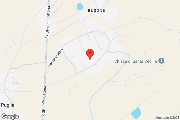 Passante Sas Di Capacci Adriano E C