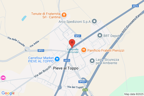 Securpol Vigilantes Srl