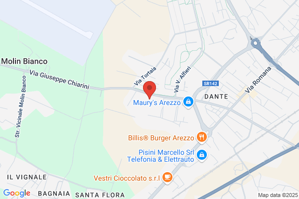 Bicchi Srl
