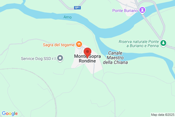 Fattori,roberto