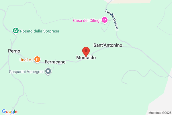 Montaldo gino