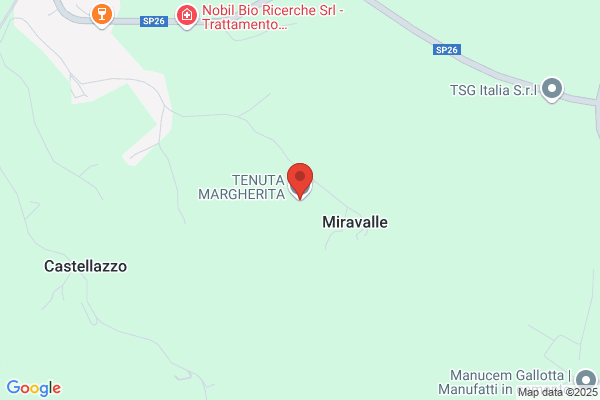 Pace margherita (Avv.)