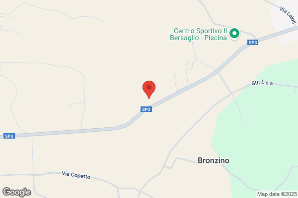 Sconfienza antonio (Rag.)