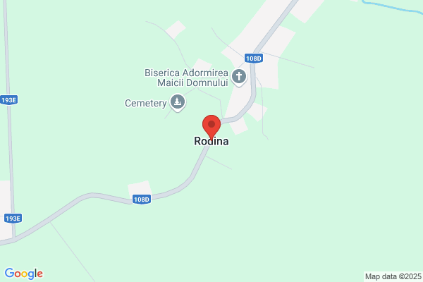 Rodina roberto