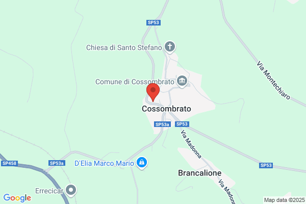 Merlone giovanni