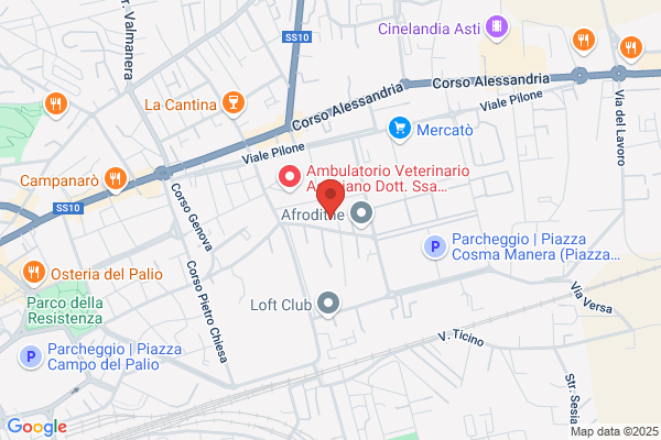 Officina Gierregi (S.N.C.)