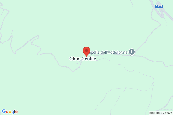 Ristorante Della Posta