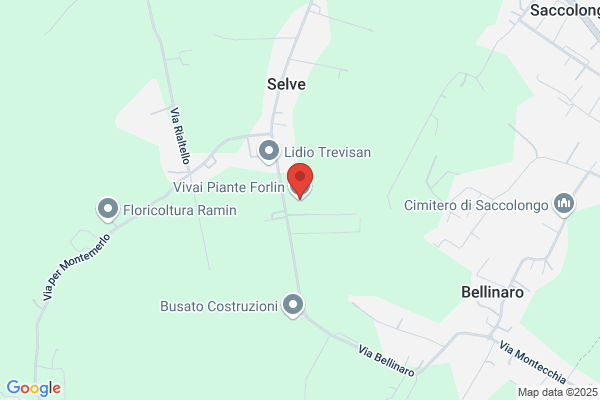 Vivai Piante Forlin