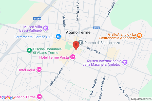 Brain  - Investigazioni & Vigilanza