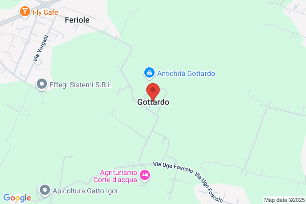 Gottardo S.P.A.