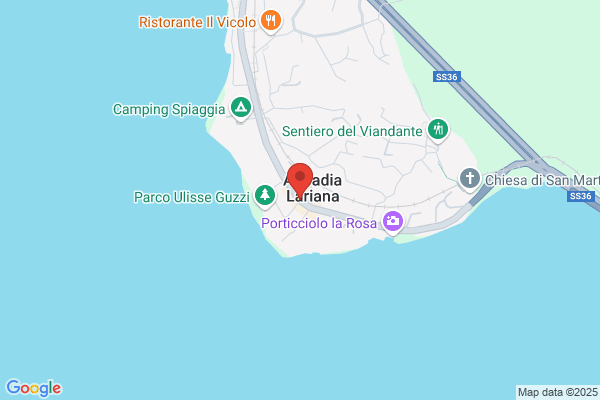 Calvi roberto