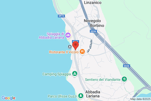 Spreafico enrica