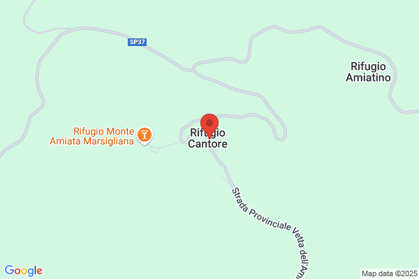 Pacini Tristano Ristorante