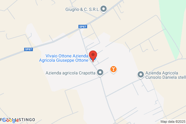 Vivaio Ottone    Azienda Agricola  Giuseppe Ottone