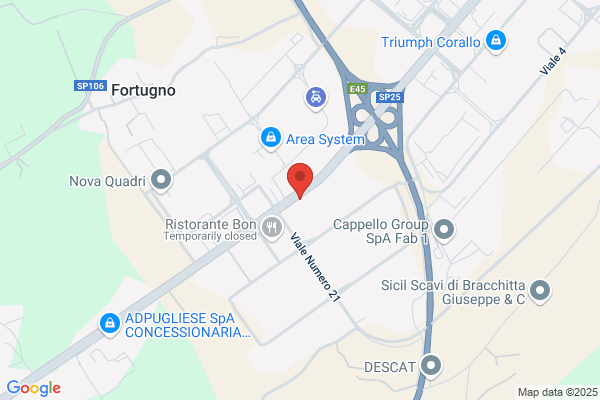 Point Service Srl