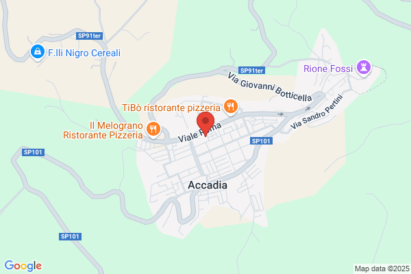 Nicastro carmela