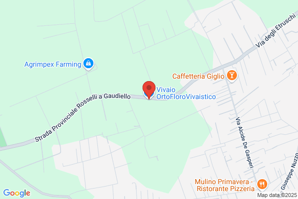 Vivaio Lulivo Sas Di Sparagno Gennaro