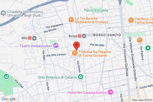 Pizzeria Etnea