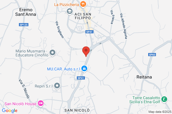 Palano maria (Dr.)