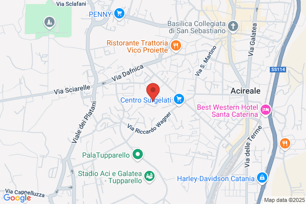 Istituto Professionale Industria E Artigianato