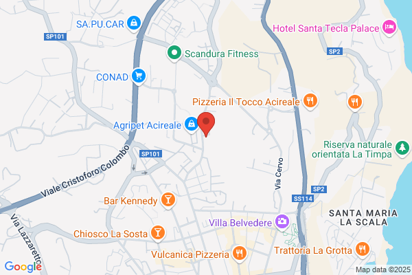 Spina alessandro