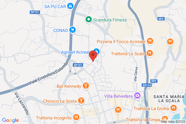 Lucifero cristina (Rag.)