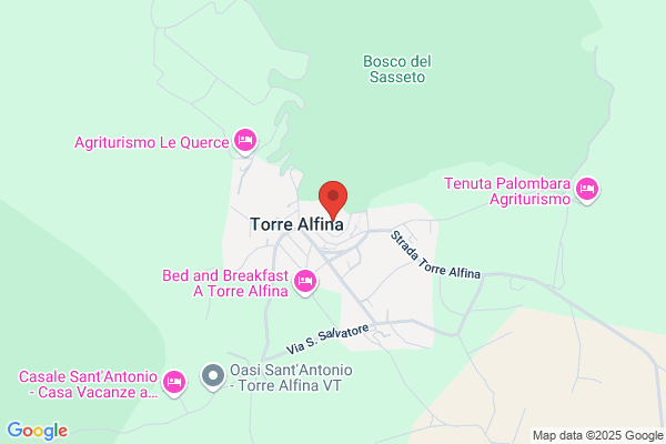 S.I.A.T.A. Societa Immobiliare Agricola Torre Alfina S.P.A.