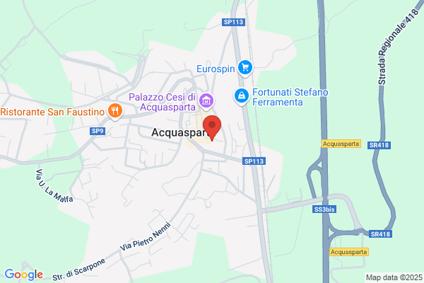 Borgo 900 Microristorante