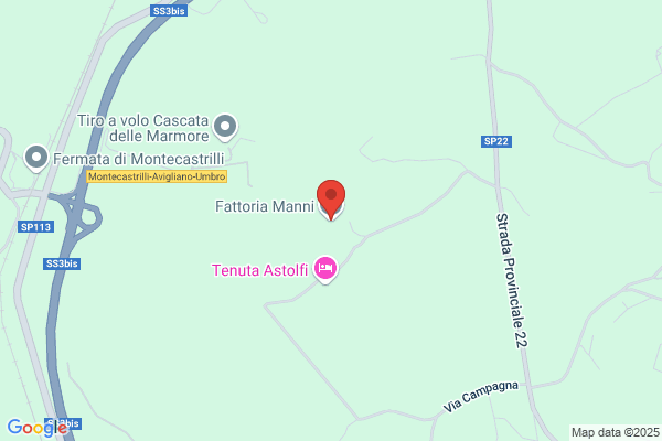 Mangoni roberta
