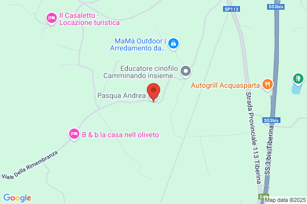 Pasquinelli quinto