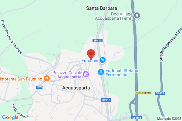 Pasquinelli vasco